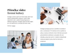 Vedoucí Průvodce – Téma WordPress