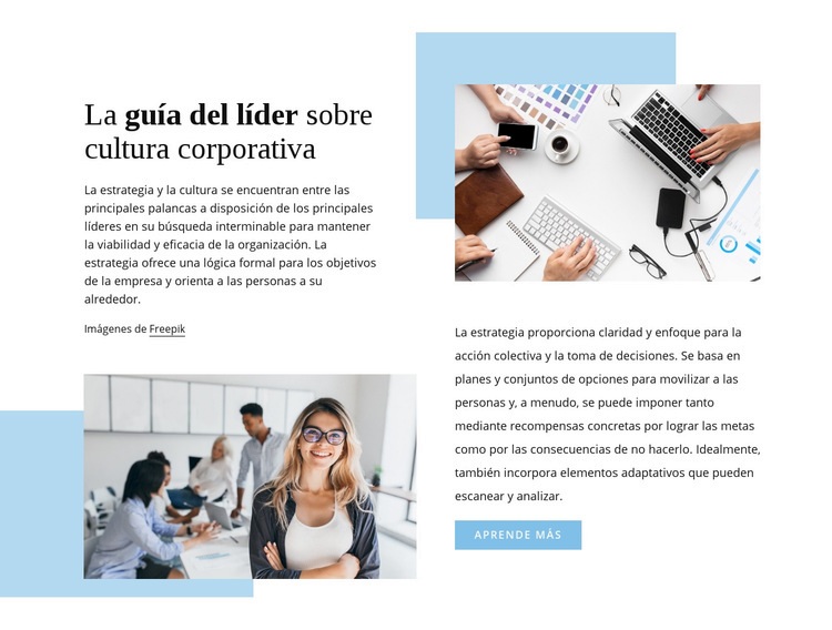 La guía del líder Diseño de páginas web