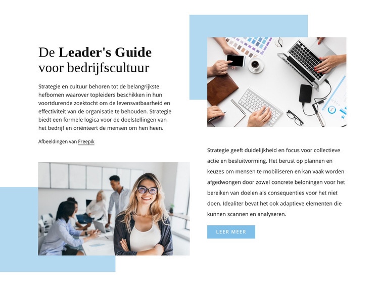 De gids van de leider Website mockup