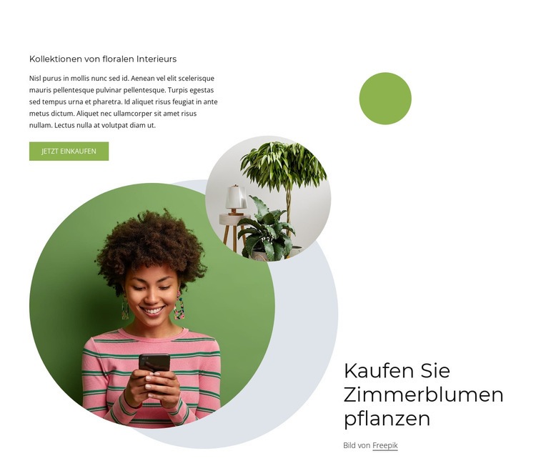 Zimmerblumenpflanzen HTML Website Builder