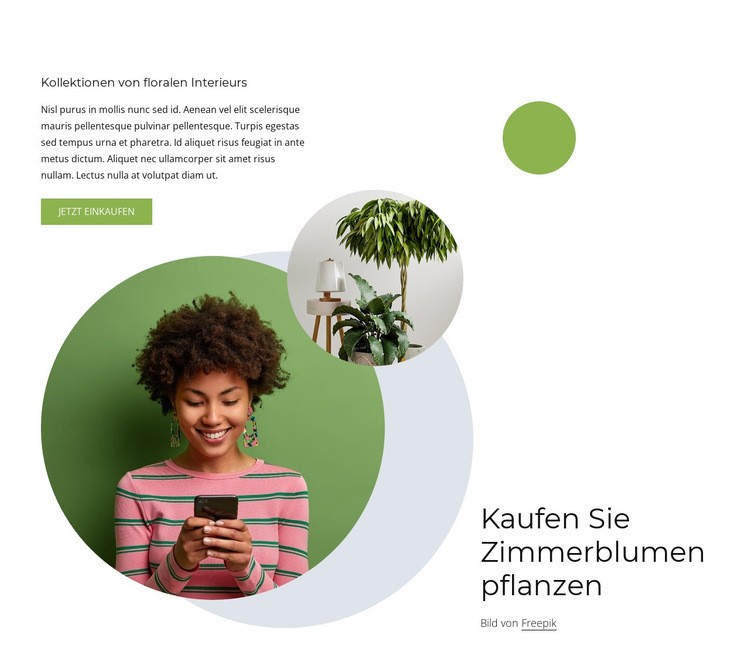 Zimmerblumenpflanzen Landing Page