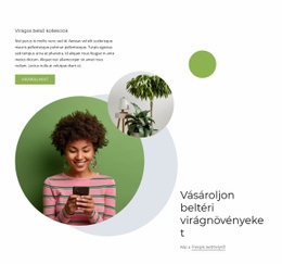 Beltéri Virágnövények - Webhelysablonok