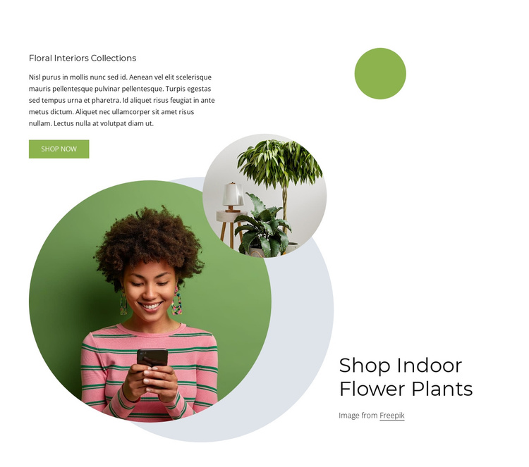 Indoor flower plants Joomla Template