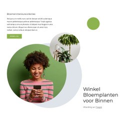 Bloemplanten Voor Binnen - Responsieve HTML5-Sjabloon