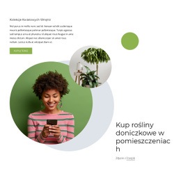 Rośliny Kwiatowe W Pomieszczeniach – Szablon HTML5