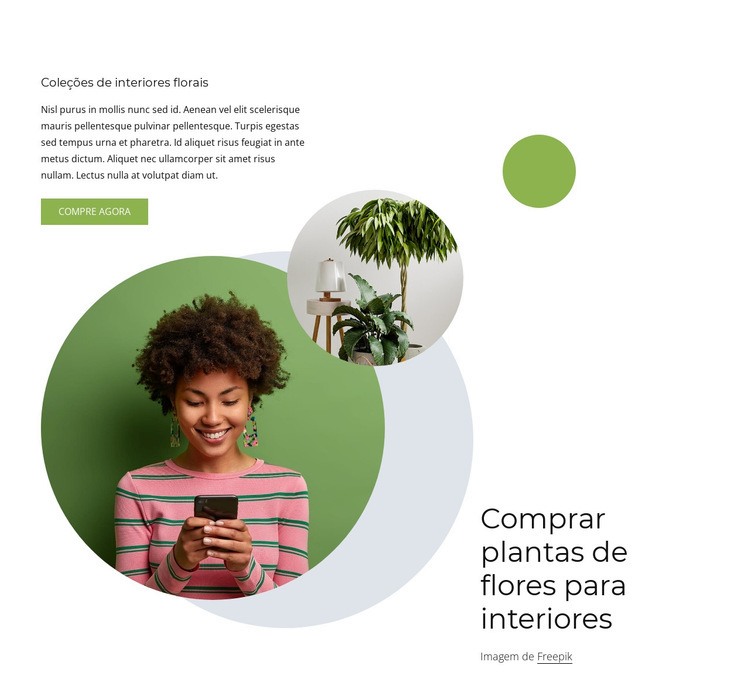 Plantas de flor de interior Landing Page