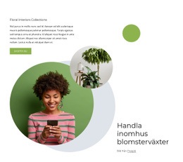 Inomhus Blomväxter - Anpassat WordPress-Tema