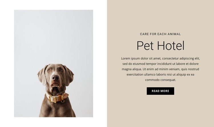 Hotel pro zvířata Html Website Builder