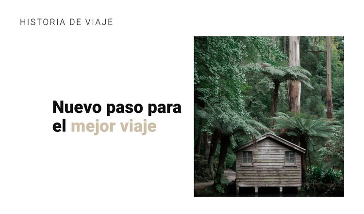 Viaje a la selva Diseño de páginas web