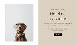 Hotel Para Animales