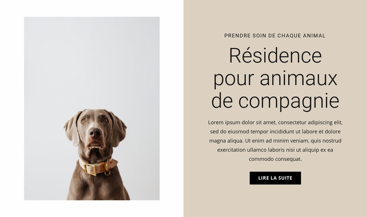 Hôtel pour animaux Modèles de constructeur de sites Web