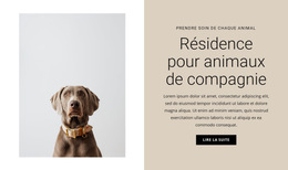 Hôtel Pour Animaux Site Web Gratuit