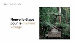 Voyage Dans La Jungle : Modèle De Site Web Simple