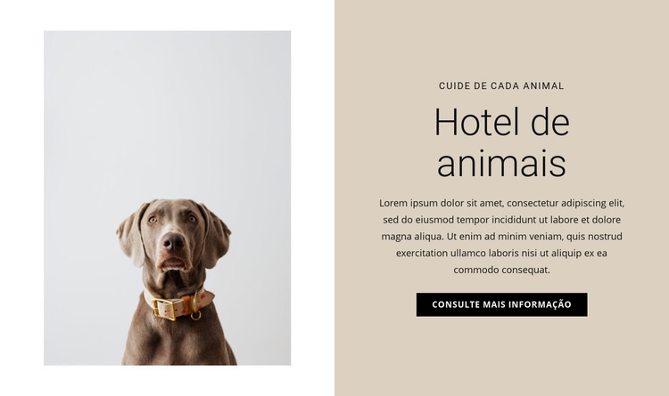 Hotel para animais Construtor de sites HTML
