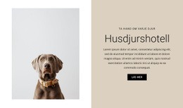 En Exklusiv Webbdesign För Hotell För Djur