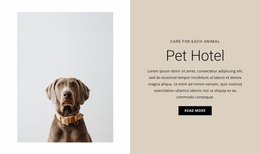 An Exclusive Website Design For Hotel For Animals