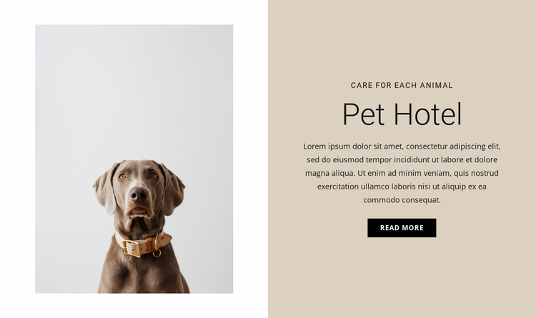 Hotel for animals Website Design