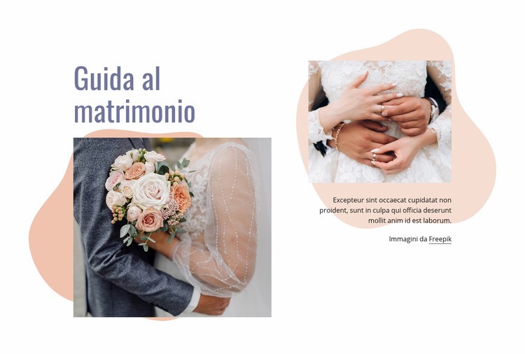 Abbiamo organizzato il tuo matrimonio Modelli di Website Builder