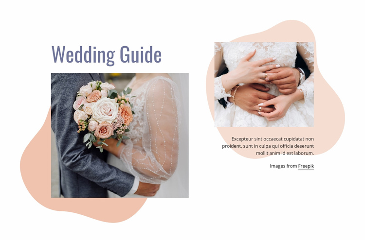 We have organized your wedding Squarespace Template Alternative