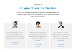 Que Opinan Los Clientes: Creador De Sitios Web Creativo Y Multipropósito