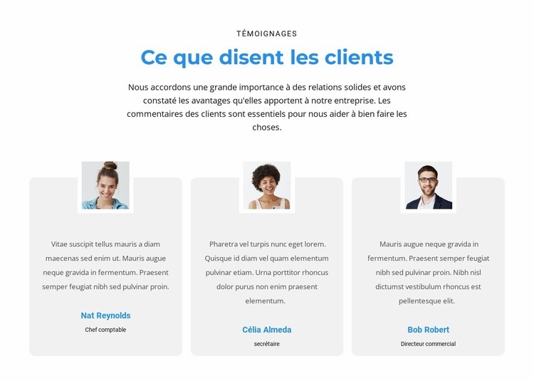 Qu'en pensent les clients Modèle HTML5