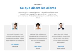 Qu'En Pensent Les Clients – Thème WordPress