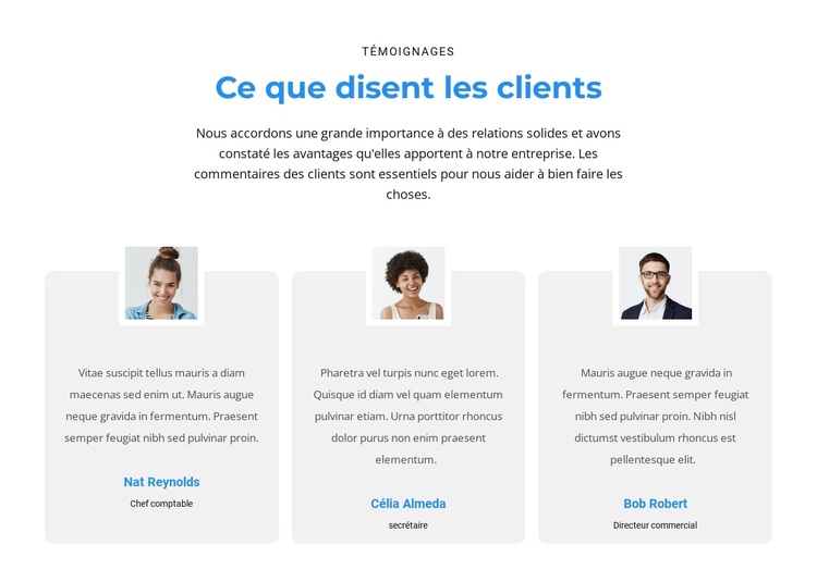 Qu'en pensent les clients Thème WordPress