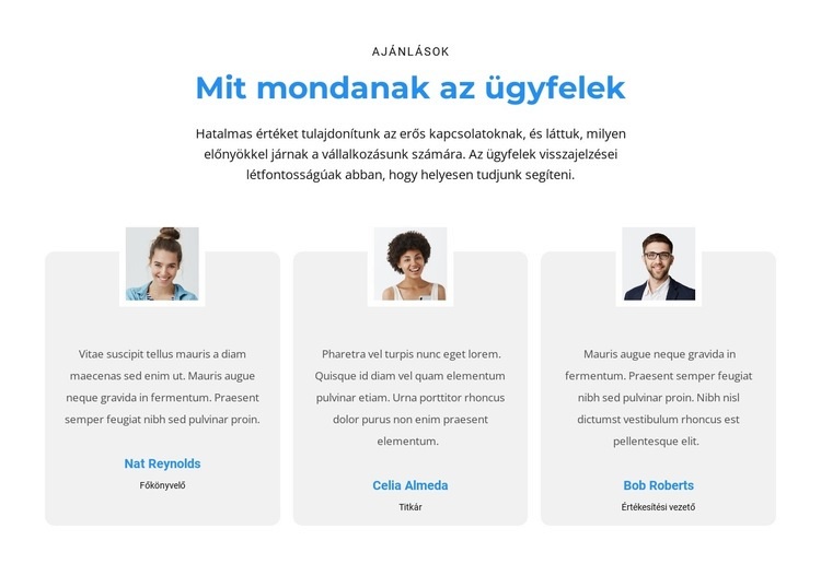 Mit gondolnak a vásárlók HTML Sablon