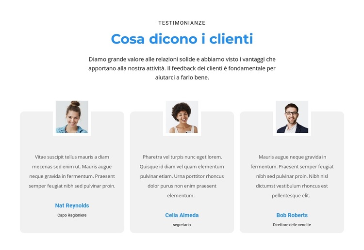 Cosa ne pensano i clienti Tema WordPress