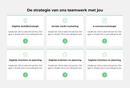 Crisisontwikkelingsstrategie - Geweldig Websitemodel