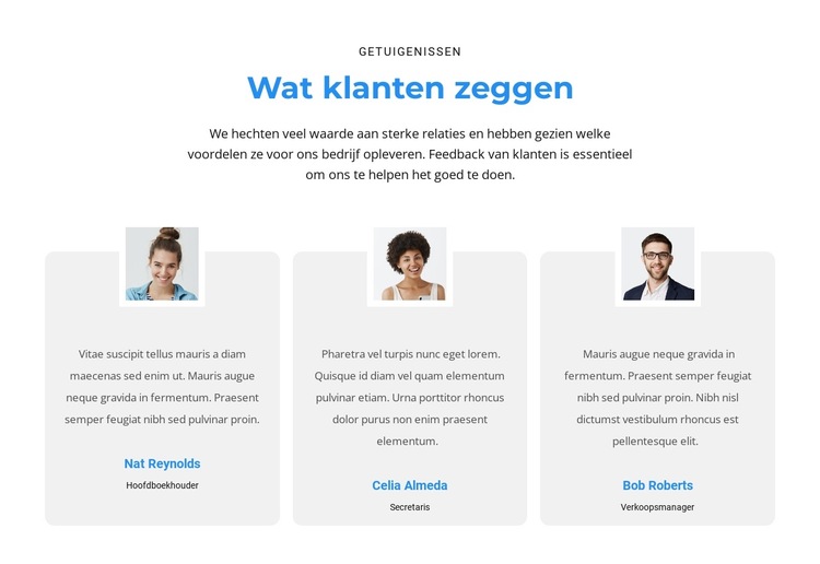 Wat vinden klanten? Website sjabloon