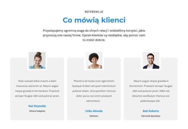 Co myślą klienci Motyw WordPress