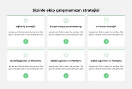 Kriz Geliştirme Stratejisi Tablo CSS Şablonu