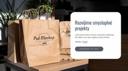 Rozvíjíme Smysluplné Projekty – Vstupní Stránka HTML