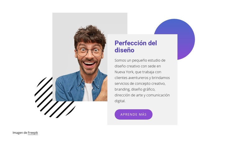 Diseñadores web expertos Plantilla HTML