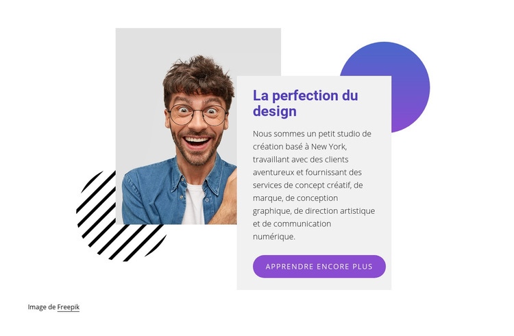 Concepteurs Web experts Modèle de site Web