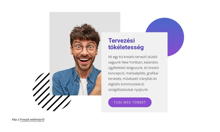 Szakértő webdesignerek Sablon