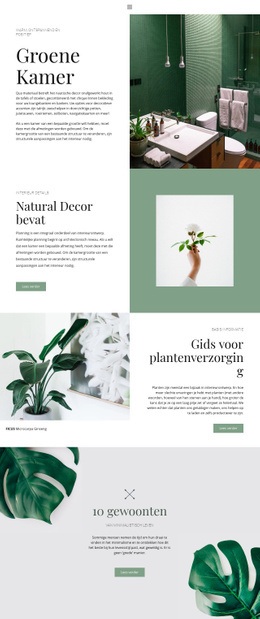 Groene Details In Huis Responsieve CSS-Sjabloon