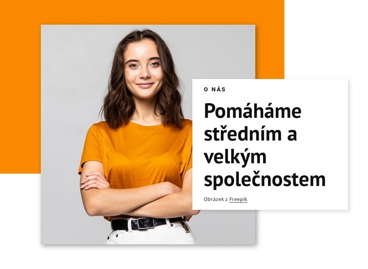 Pomáháme velkým firmám Šablona HTML