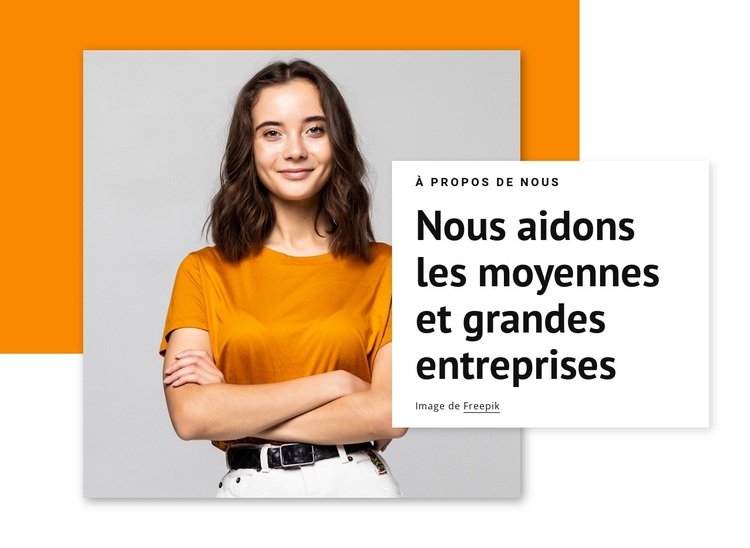 Nous aidons les grandes entreprises Thème WordPress
