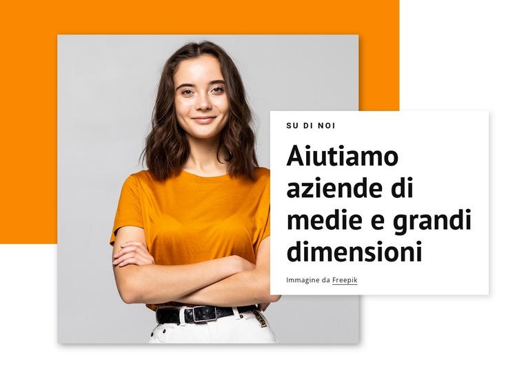 Aiutiamo le grandi aziende Modello di sito Web