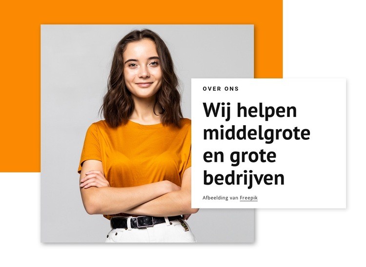 Wij helpen grote bedrijven Sjabloon voor één pagina