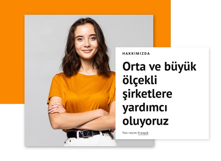 Büyük şirketlere yardımcı oluyoruz HTML Şablonu