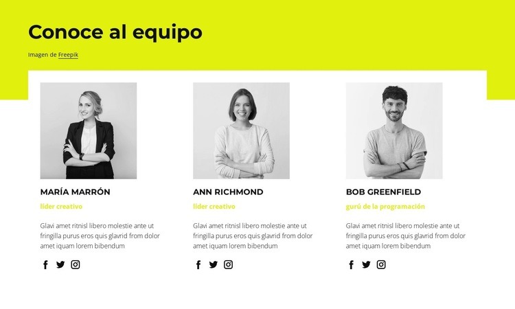 Nuestro equipo Plantillas de creación de sitios web