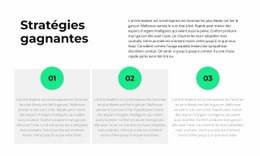 À Propos De La Stratégie - Page De Destination Prête À L'Emploi