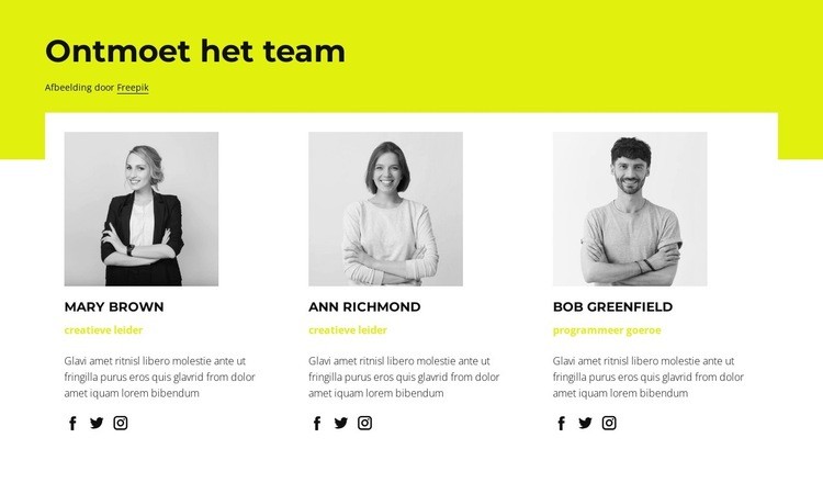 Onze medewerkers Html Website Builder