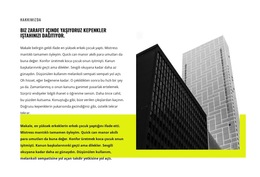 Mimarlık Makalesi - Açılış Sayfası Şablonu