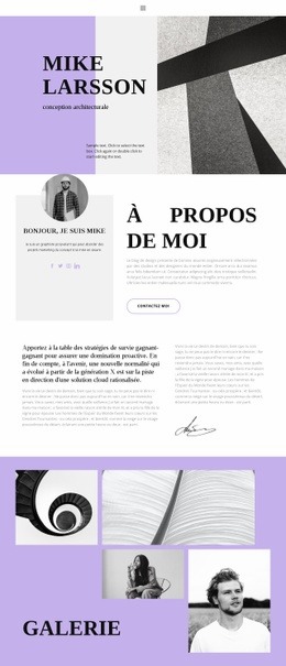 La Meilleure Conception De Site Web Pour CV D'Architecte