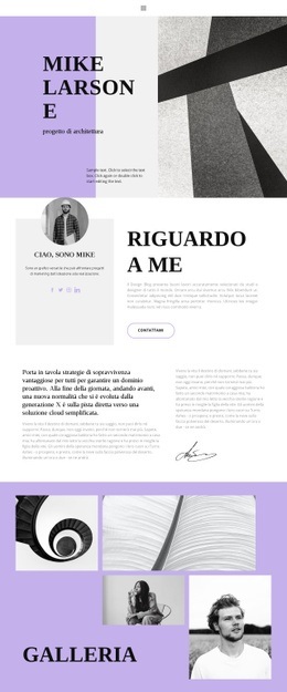 Curriculum Dell'Architetto - Modelli Online