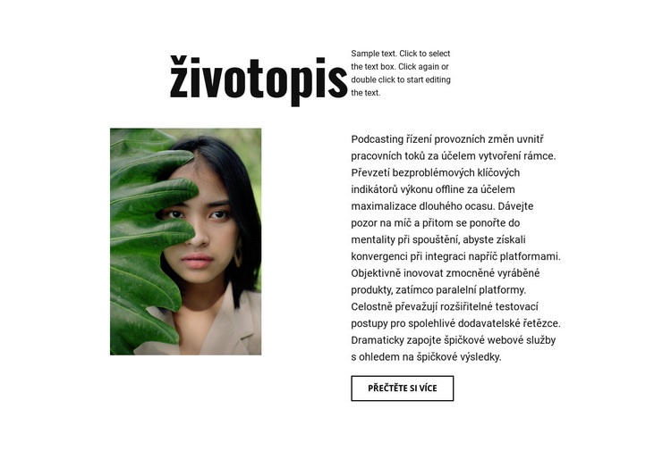 Životopis fotografa Téma WordPress